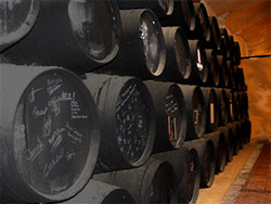 sherry faesser jerez